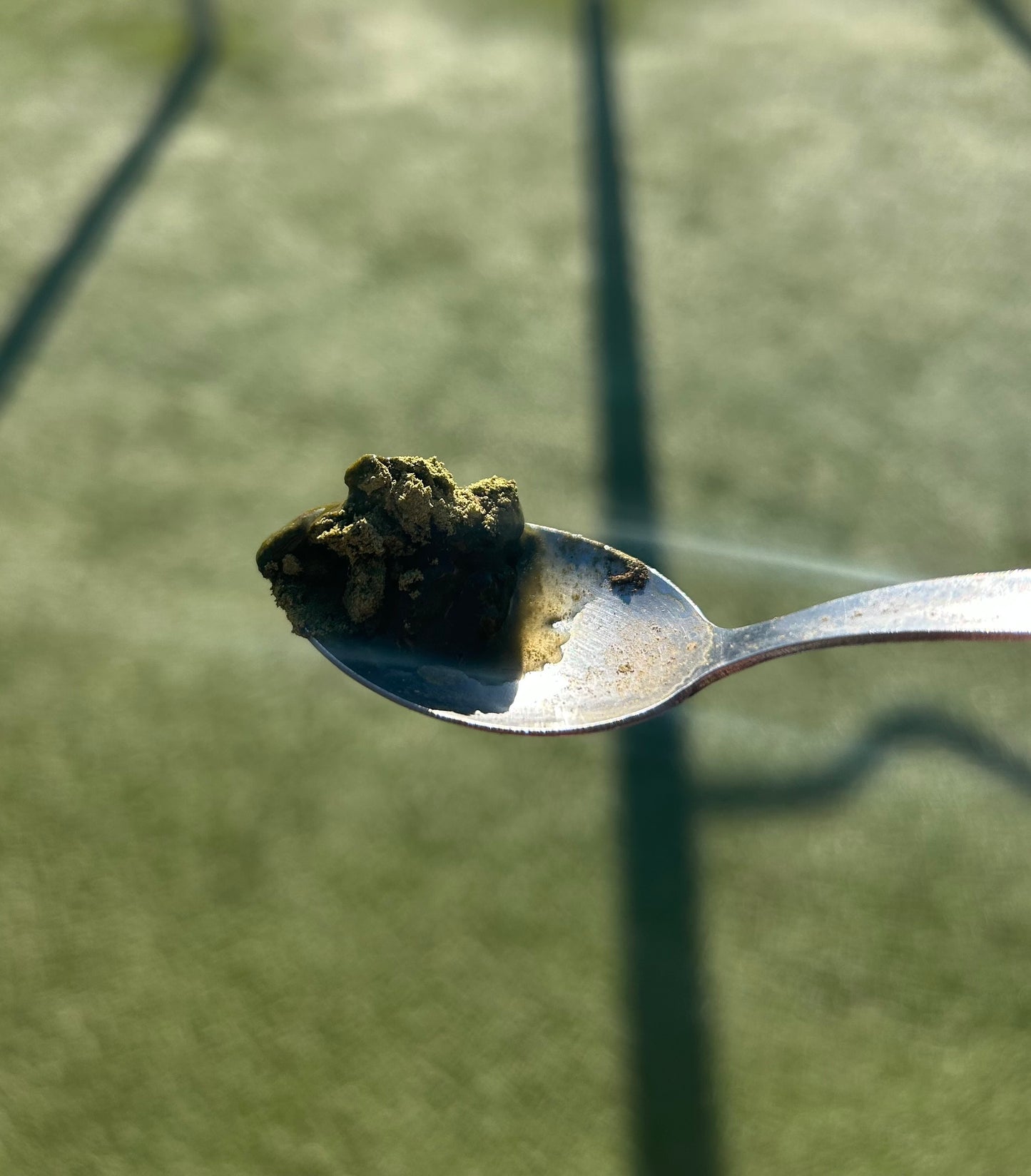 GreenUp+ Moringa Powder